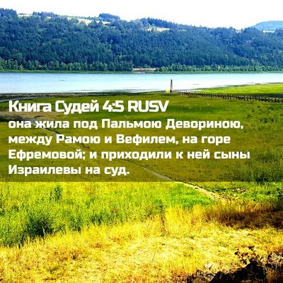 Picture 02 - Книга Судей 4:5 RUSV - она жила под Пальмою - Bible Verse Picture
