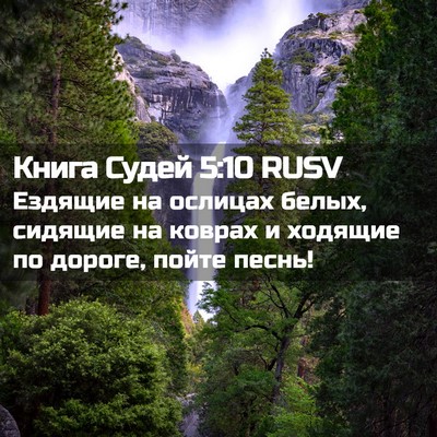 Picture 02 - Книга Судей 5:10 RUSV - Ездящие на ослицах белых, - Bible Verse Picture