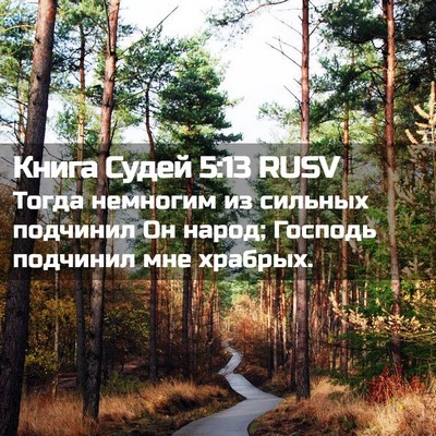Picture 02 - Книга Судей 5:13 RUSV - Тогда немногим из сильных - Bible Verse Picture