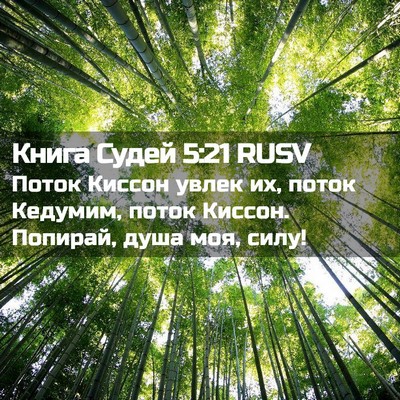 Picture 02 - Книга Судей 5:21 RUSV - Поток Киссон увлек их, - Bible Verse Picture