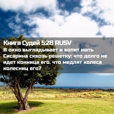 Picture 02 - Книга Судей 5:28 RUSV - В окно выглядывает и вопит - Bible Verse Picture
