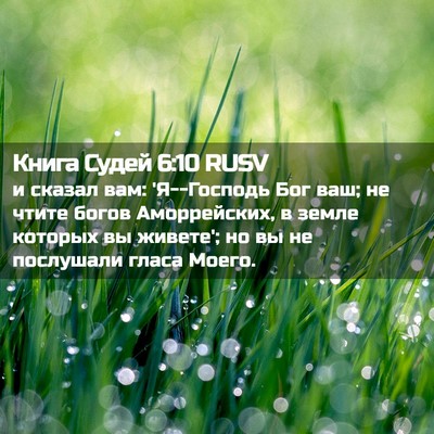 Picture 02 - Книга Судей 6:10 RUSV - и сказал вам: 'Я--Господь - Bible Verse Picture