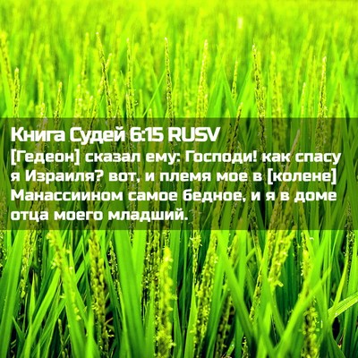 Picture 02 - Книга Судей 6:15 RUSV - [Гедеон] сказал ему: - Bible Verse Picture