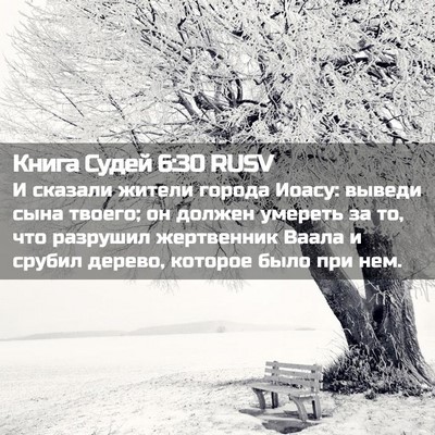 Picture 02 - Книга Судей 6:30 RUSV - И сказали жители города - Bible Verse Picture