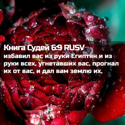 Picture 02 - Книга Судей 6:9 RUSV - избавил вас из руки - Bible Verse Picture