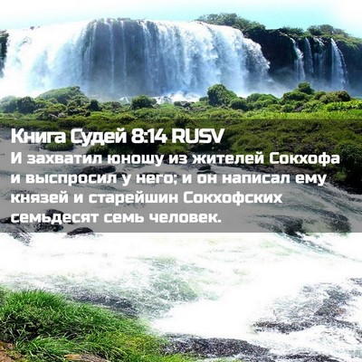 Picture 02 - Книга Судей 8:14 RUSV - И захватил юношу из - Bible Verse Picture