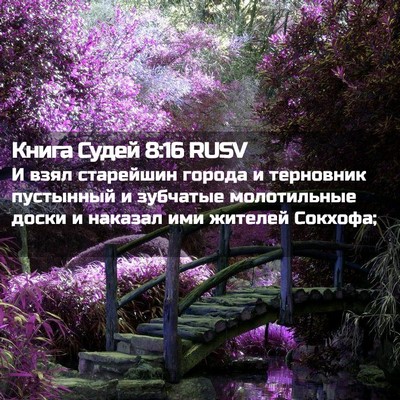 Picture 02 - Книга Судей 8:16 RUSV - И взял старейшин города и - Bible Verse Picture