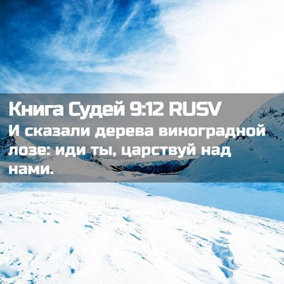 Picture 02 - Книга Судей 9:12 RUSV - И сказали дерева - Bible Verse Picture