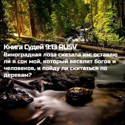Picture 02 - Книга Судей 9:13 RUSV - Виноградная лоза сказала - Bible Verse Picture