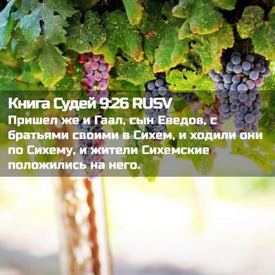 Picture 02 - Книга Судей 9:26 RUSV - Пришел же и Гаал, сын - Bible Verse Picture