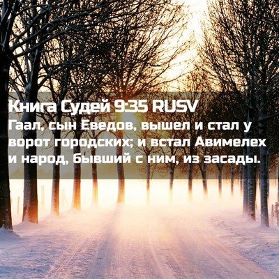 Picture 02 - Книга Судей 9:35 RUSV - Гаал, сын Еведов, вышел и - Bible Verse Picture