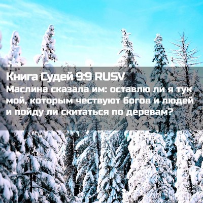 Picture 02 - Книга Судей 9:9 RUSV - Маслина сказала им: - Bible Verse Picture