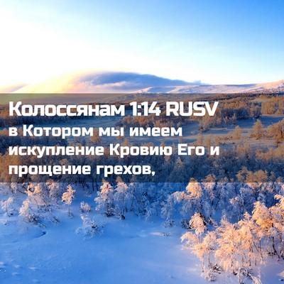 Picture 02 - Колоссянам 1:14 RUSV - в Котором мы имеем - Bible Verse Picture