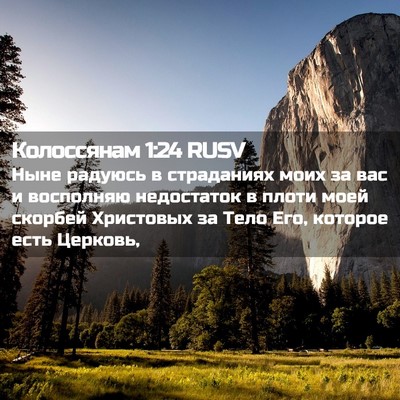 Picture 02 - Колоссянам 1:24 RUSV - Ныне радуюсь в страданиях - Bible Verse Picture