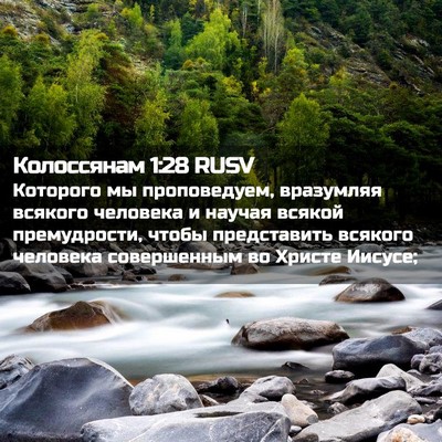 Picture 02 - Колоссянам 1:28 RUSV - Которого мы проповедуем, - Bible Verse Picture