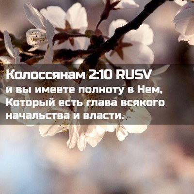 Picture 02 - Колоссянам 2:10 RUSV - и вы имеете полноту в Нем, - Bible Verse Picture