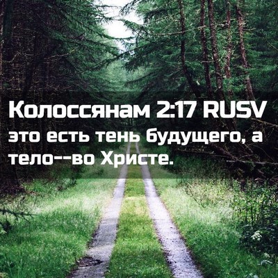 Picture 02 - Колоссянам 2:17 RUSV - это есть тень будущего, а - Bible Verse Picture