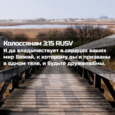 Picture 02 - Колоссянам 3:15 RUSV - И да владычествует в - Bible Verse Picture