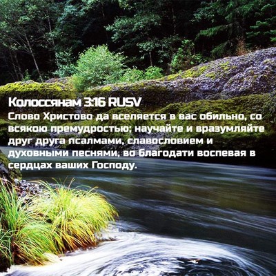 Picture 02 - Колоссянам 3:16 RUSV - Слово Христово да - Bible Verse Picture