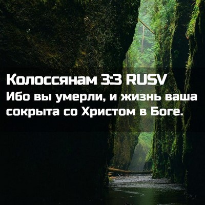 Picture 02 - Колоссянам 3:3 RUSV - Ибо вы умерли, и жизнь ваша - Bible Verse Picture