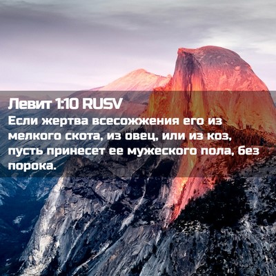 Picture 02 - Левит 1:10 RUSV - Если жертва всесожжения - Bible Verse Picture
