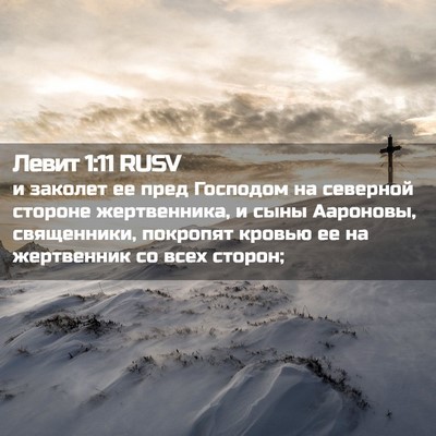 Picture 02 - Левит 1:11 RUSV - и заколет ее пред Господом - Bible Verse Picture