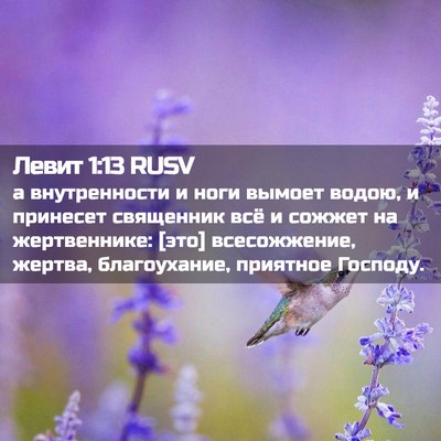 Picture 02 - Левит 1:13 RUSV - а внутренности и ноги - Bible Verse Picture