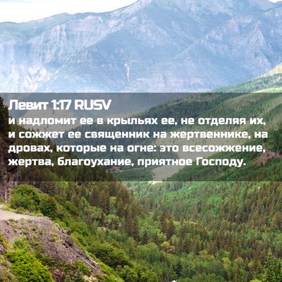 Picture 02 - Левит 1:17 RUSV - и надломит ее в крыльях ее, - Bible Verse Picture