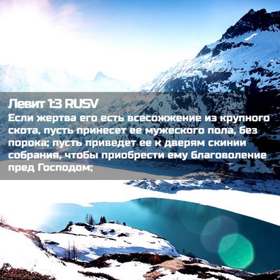 Picture 02 - Левит 1:3 RUSV - Если жертва его есть - Bible Verse Picture