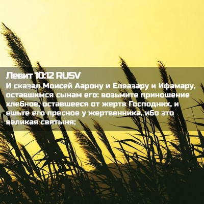 Picture 02 - Левит 10:12 RUSV - И сказал Моисей Аарону и - Bible Verse Picture