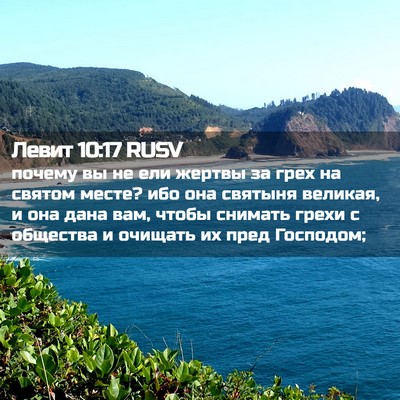 Picture 02 - Левит 10:17 RUSV - почему вы не ели жертвы за - Bible Verse Picture