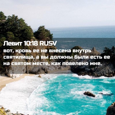 Picture 02 - Левит 10:18 RUSV - вот, кровь ее не внесена - Bible Verse Picture