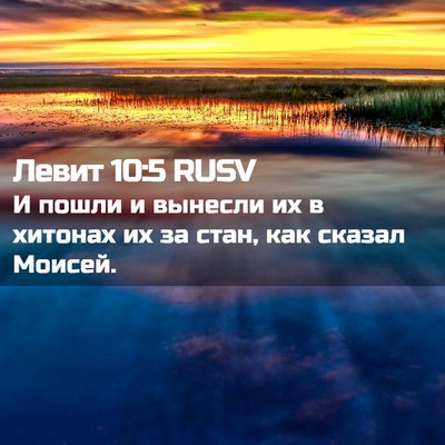Picture 02 - Левит 10:5 RUSV - И пошли и вынесли их в - Bible Verse Picture