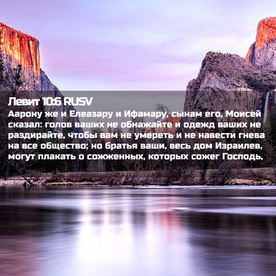 Picture 02 - Левит 10:6 RUSV - Аарону же и Елеазару и - Bible Verse Picture