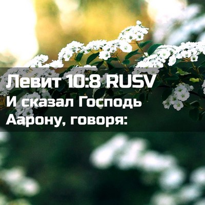 Picture 02 - Левит 10:8 RUSV - И сказал Господь Аарону, - Bible Verse Picture