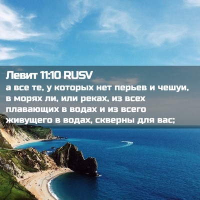 Picture 02 - Левит 11:10 RUSV - а все те, у которых нет - Bible Verse Picture