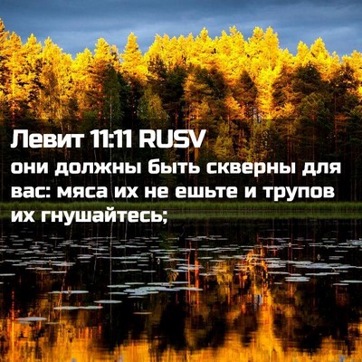 Picture 02 - Левит 11:11 RUSV - они должны быть скверны - Bible Verse Picture