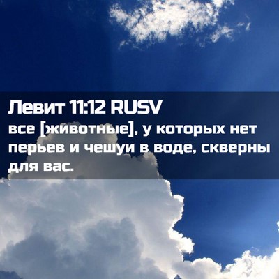 Picture 02 - Левит 11:12 RUSV - все [животные], у которых - Bible Verse Picture