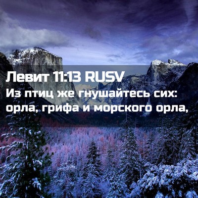 Picture 02 - Левит 11:13 RUSV - Из птиц же гнушайтесь сих: - Bible Verse Picture