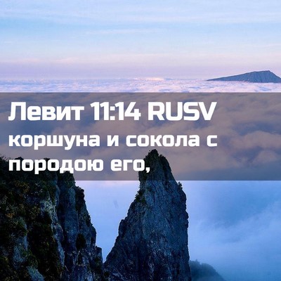 Picture 02 - Левит 11:14 RUSV - коршуна и сокола с породою - Bible Verse Picture