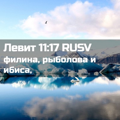 Picture 02 - Левит 11:17 RUSV - филина, рыболова и - Bible Verse Picture