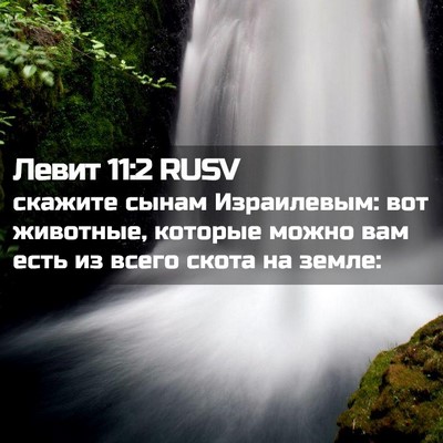 Picture 02 - Левит 11:2 RUSV - скажите сынам Израилевым: - Bible Verse Picture