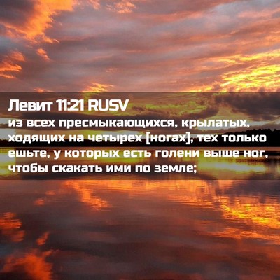 Picture 02 - Левит 11:21 RUSV - из всех пресмыкающихся, - Bible Verse Picture