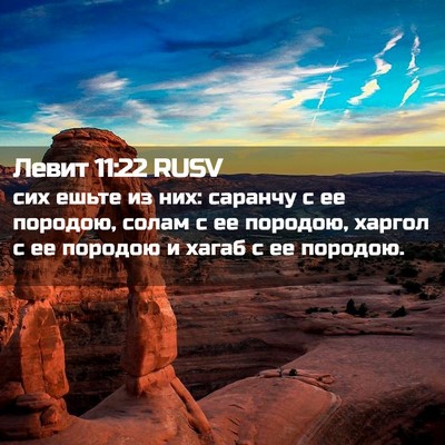 Picture 02 - Левит 11:22 RUSV - сих ешьте из них: саранчу с - Bible Verse Picture