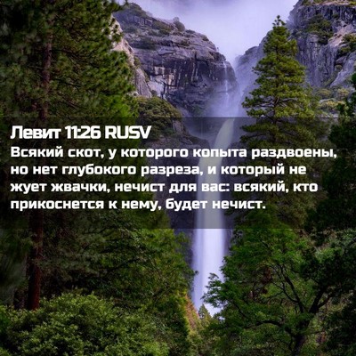 Picture 02 - Левит 11:26 RUSV - Всякий скот, у которого - Bible Verse Picture