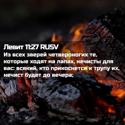 Picture 02 - Левит 11:27 RUSV - Из всех зверей - Bible Verse Picture