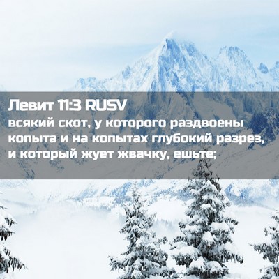 Picture 02 - Левит 11:3 RUSV - всякий скот, у которого - Bible Verse Picture