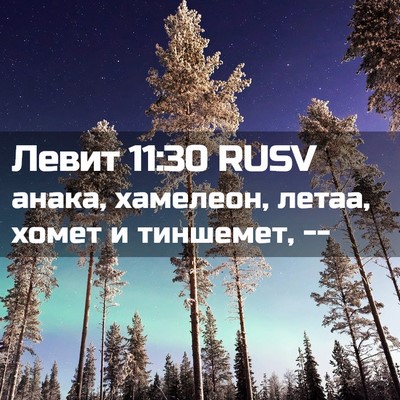 Picture 02 - Левит 11:30 RUSV - анака, хамелеон, летаа, - Bible Verse Picture