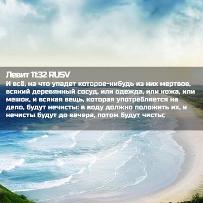 Picture 02 - Левит 11:32 RUSV - И всё, на что упадет - Bible Verse Picture