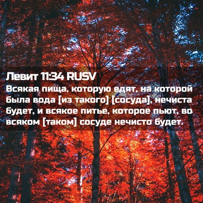 Picture 02 - Левит 11:34 RUSV - Всякая пища, которую едят, - Bible Verse Picture